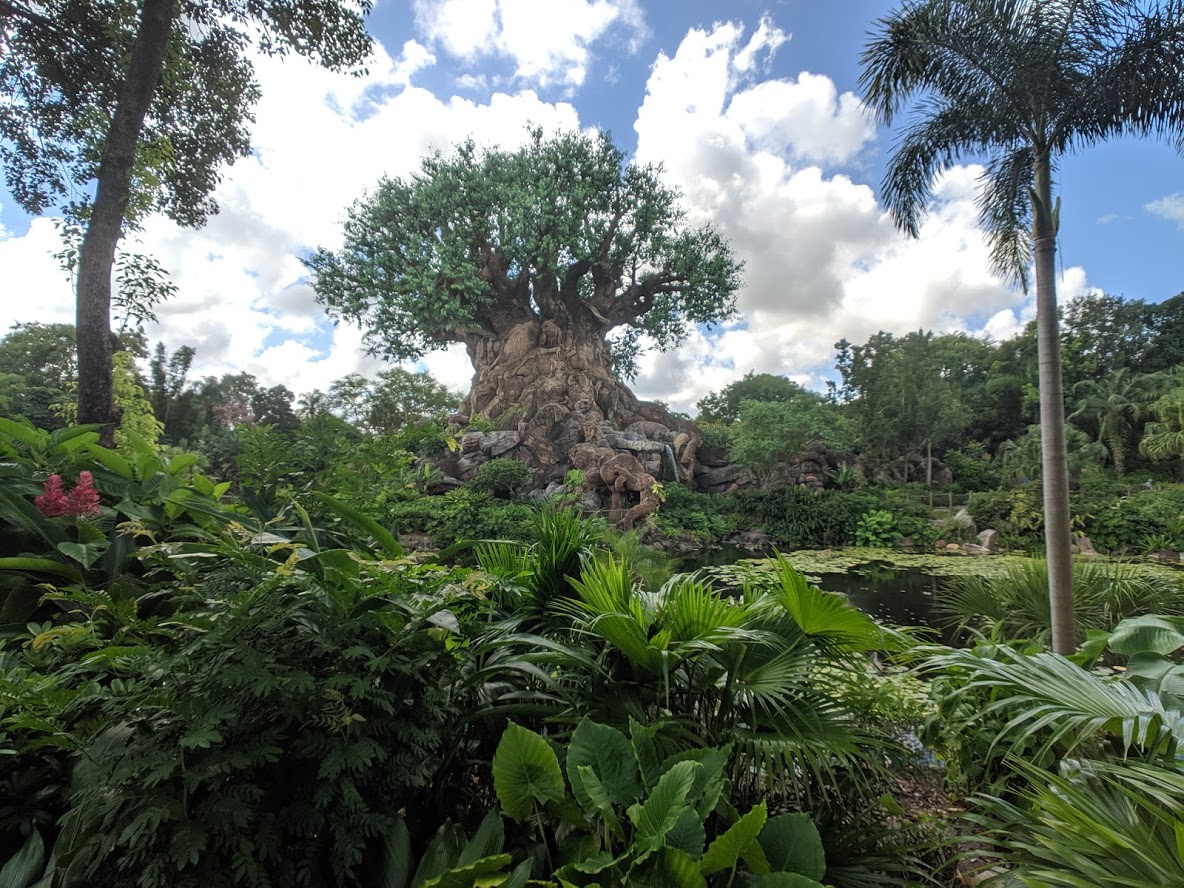 Animal Kingdom One-Day Itinerary – Globetrotting Disney Blog